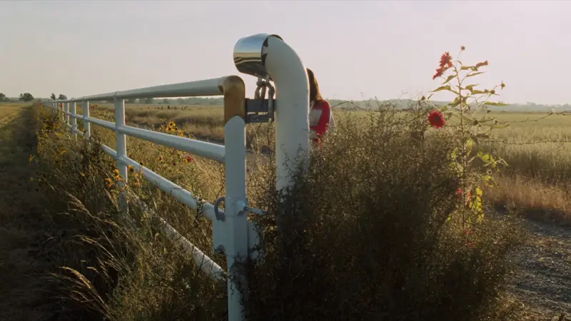 Welded steel pipe ranch fence along a ranch entrance